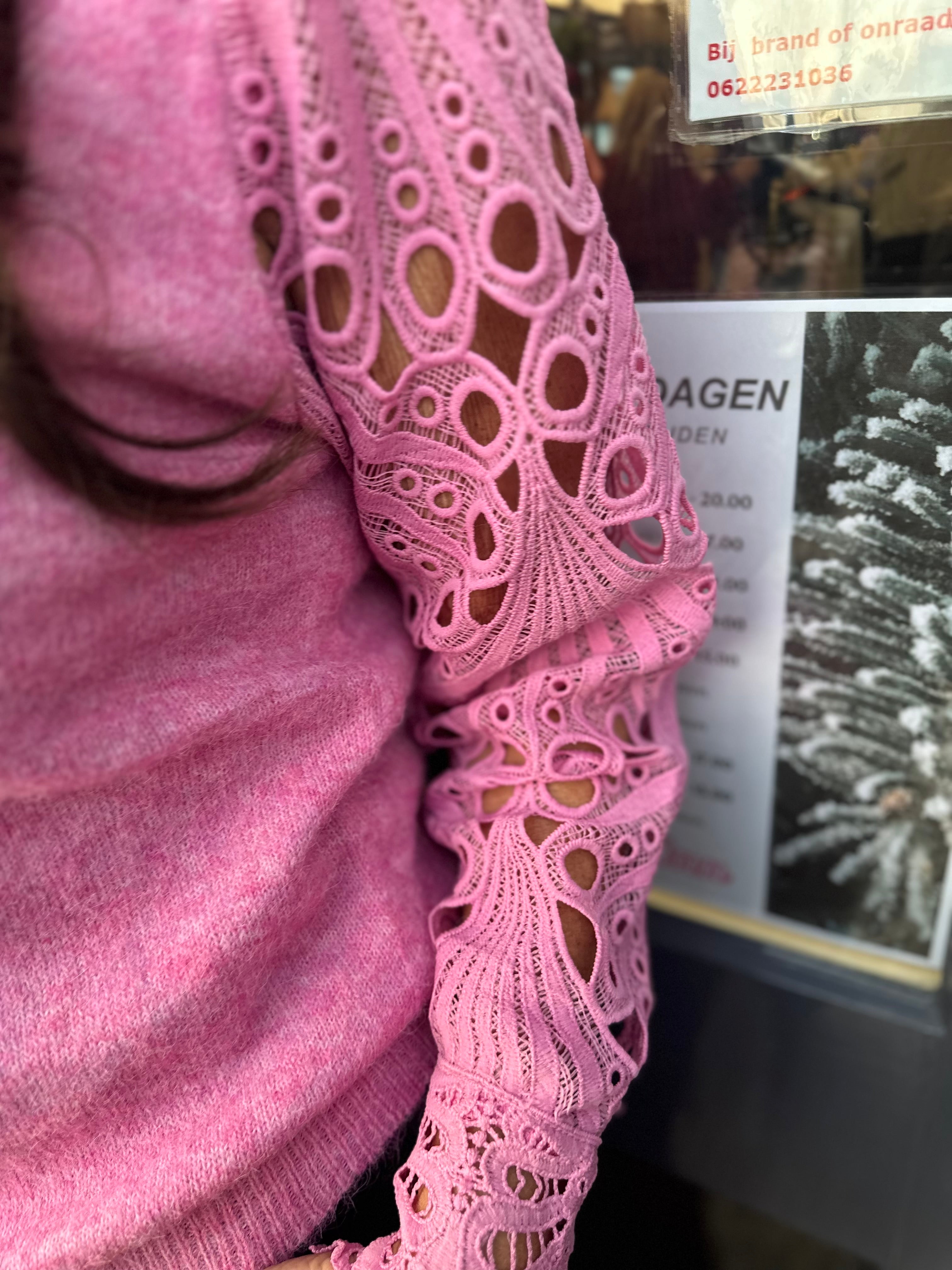 trui kanten mouw "Robyn" Roze