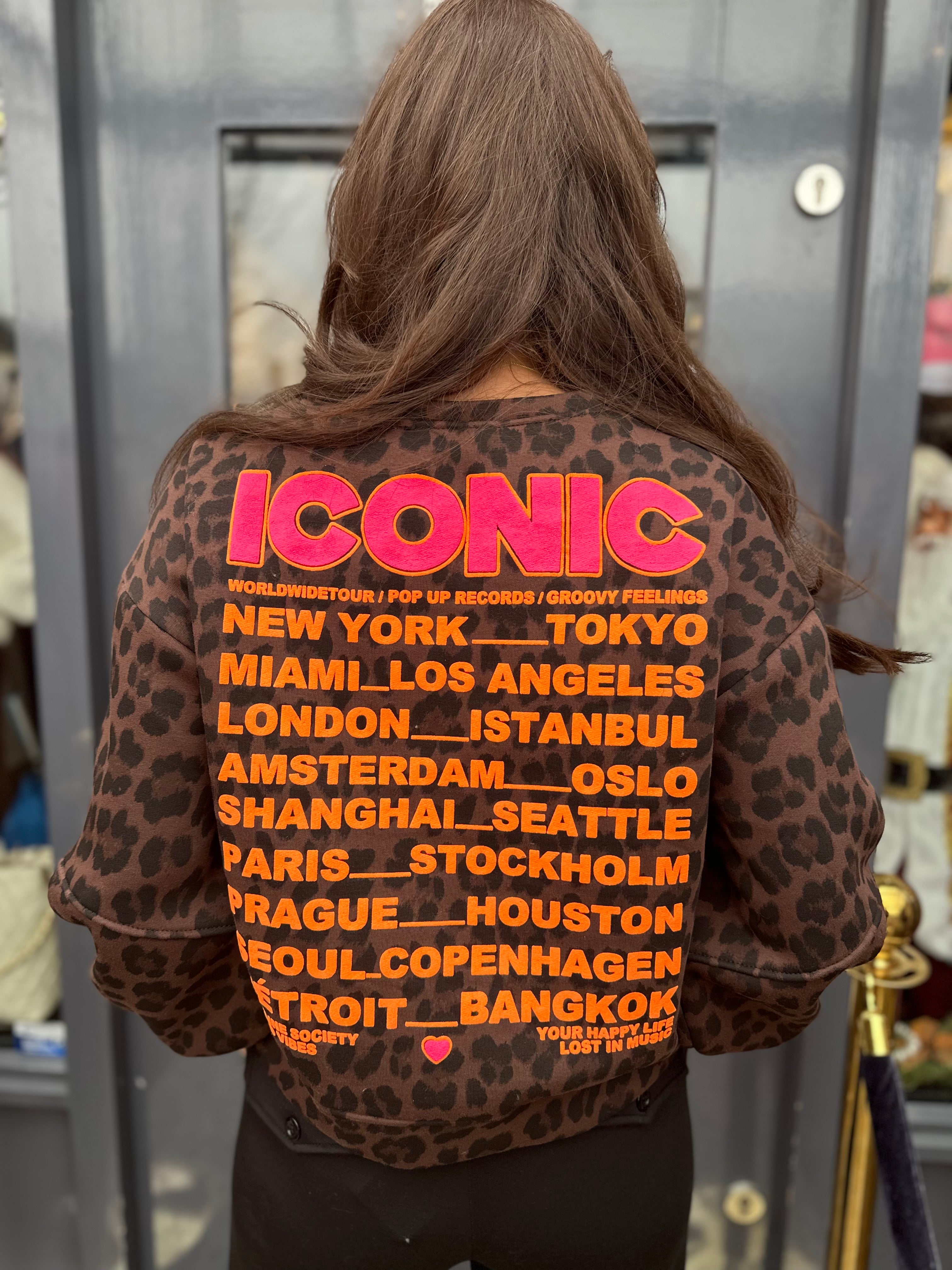 ICON sweater panter/donkerbruin