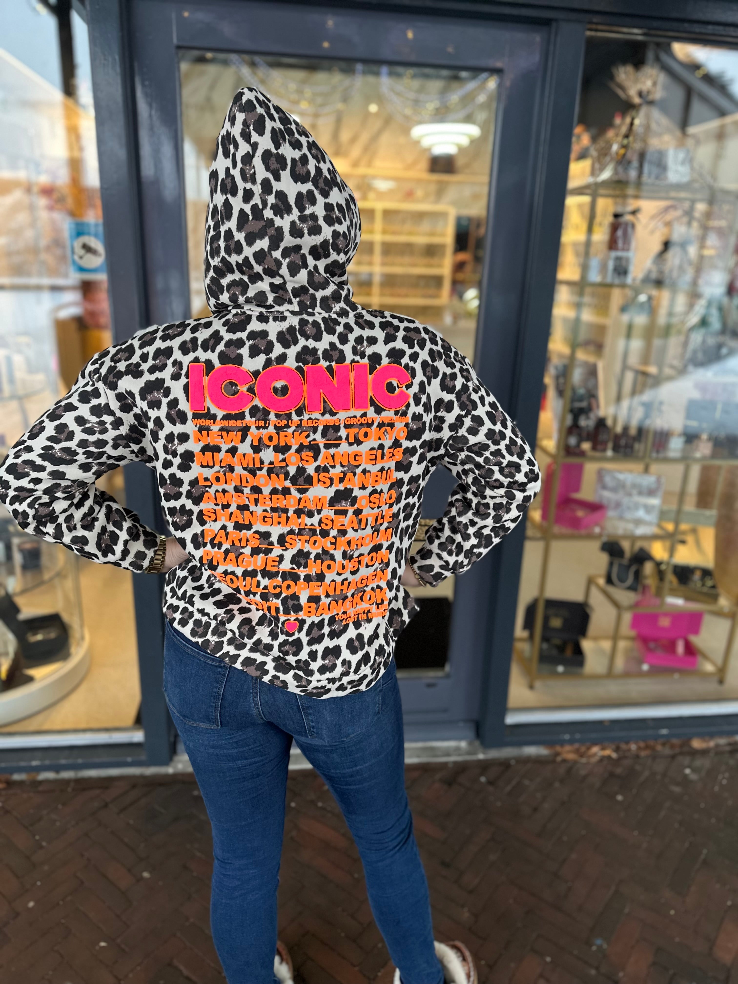 ICON Hoodie beige/panter