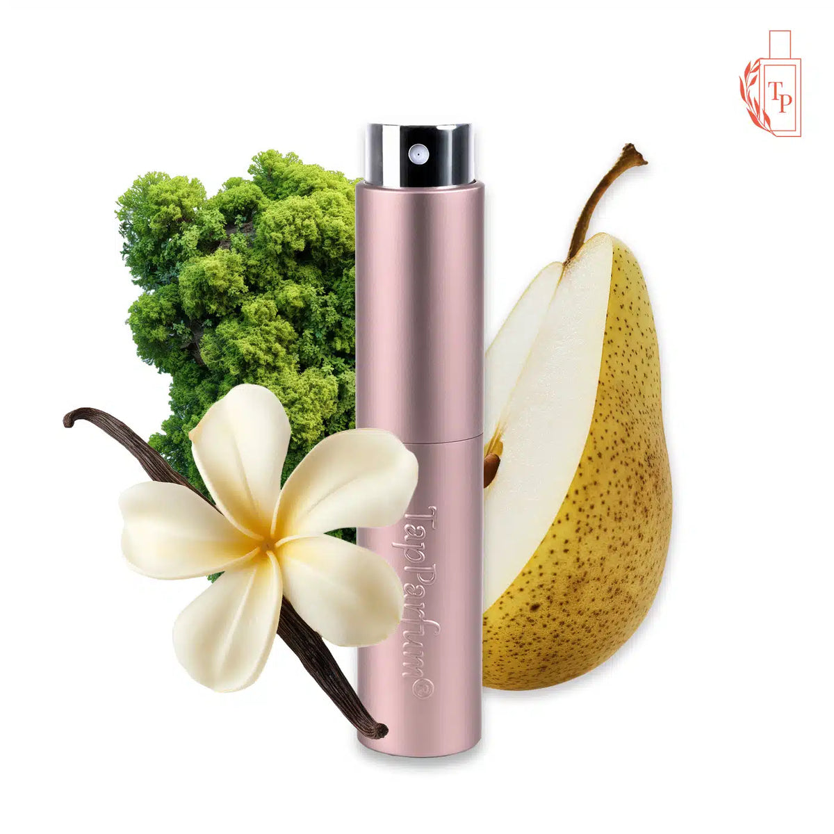 TP SPRAY LA 583 – Bij Ann Fashion