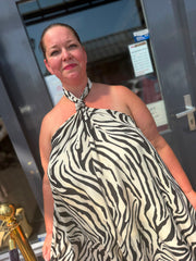 Jurkje "Zimbabwe" zebra