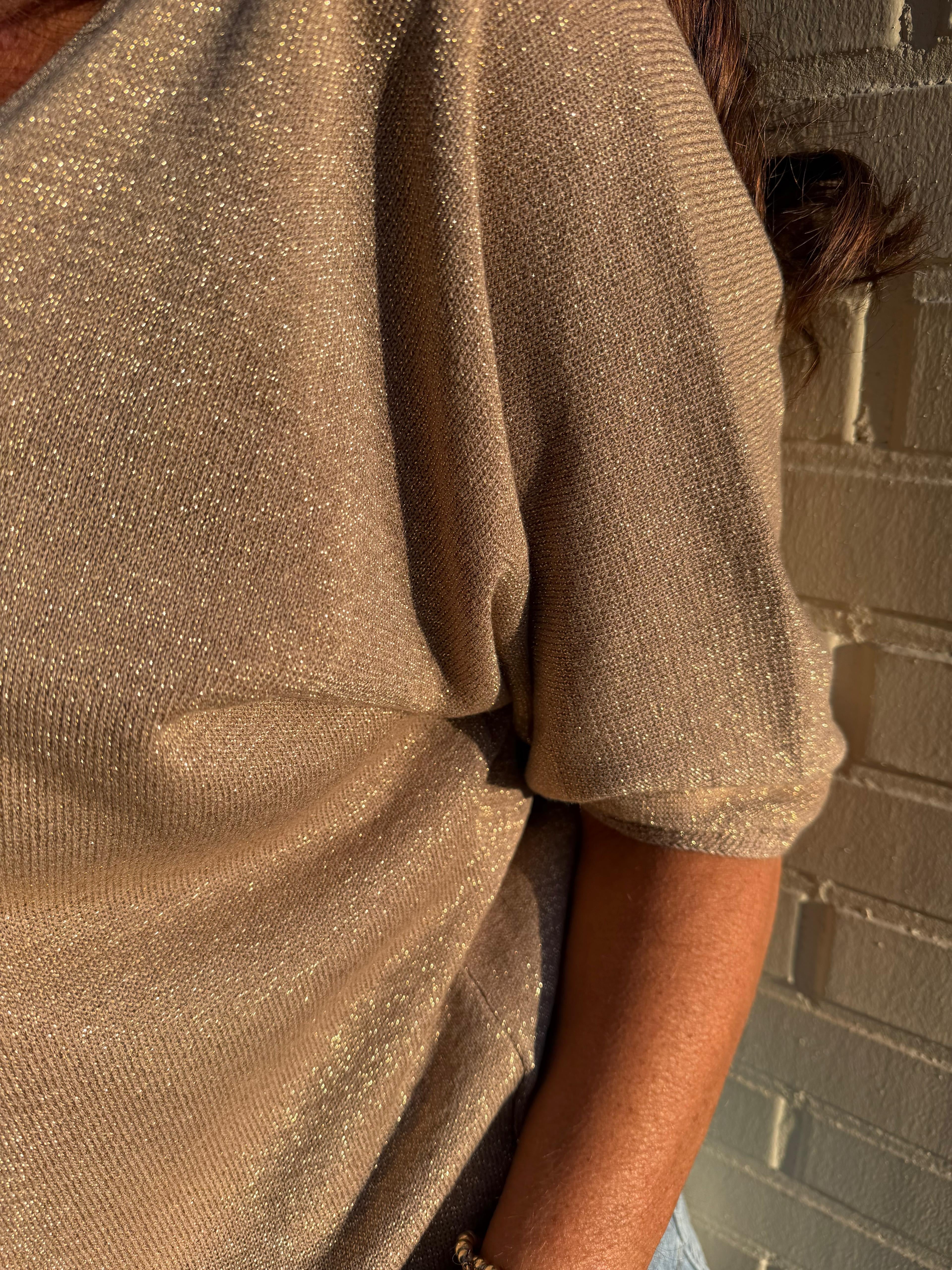 Truitje glitter v-hals taupe