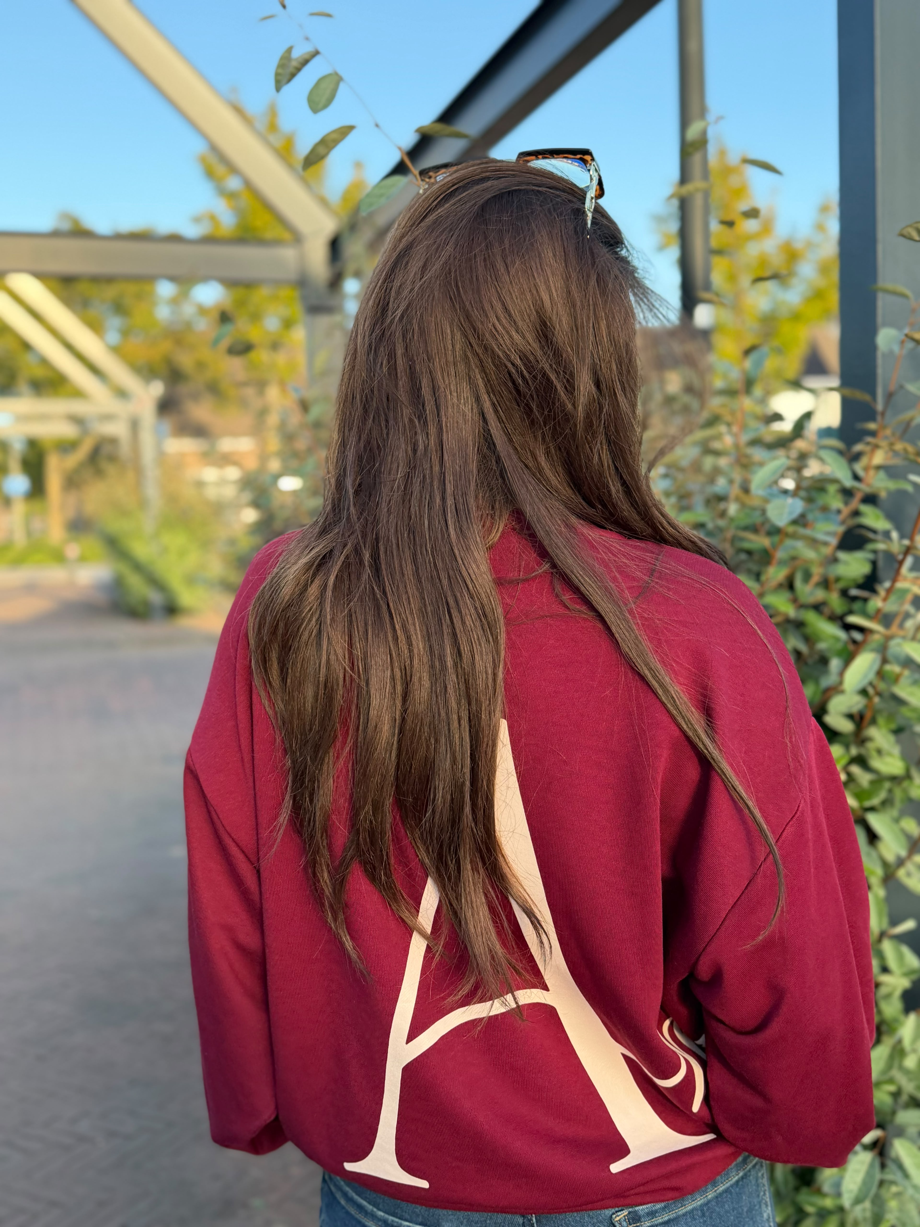 Trui "Amore" Bordeaux / Beige